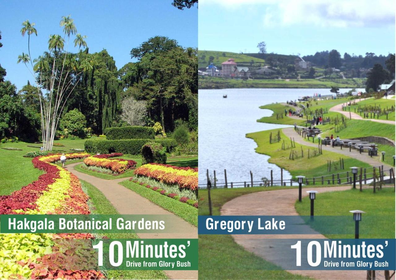 Glory Bush Boutique Villa Nuwara Eliya Bagian luar foto