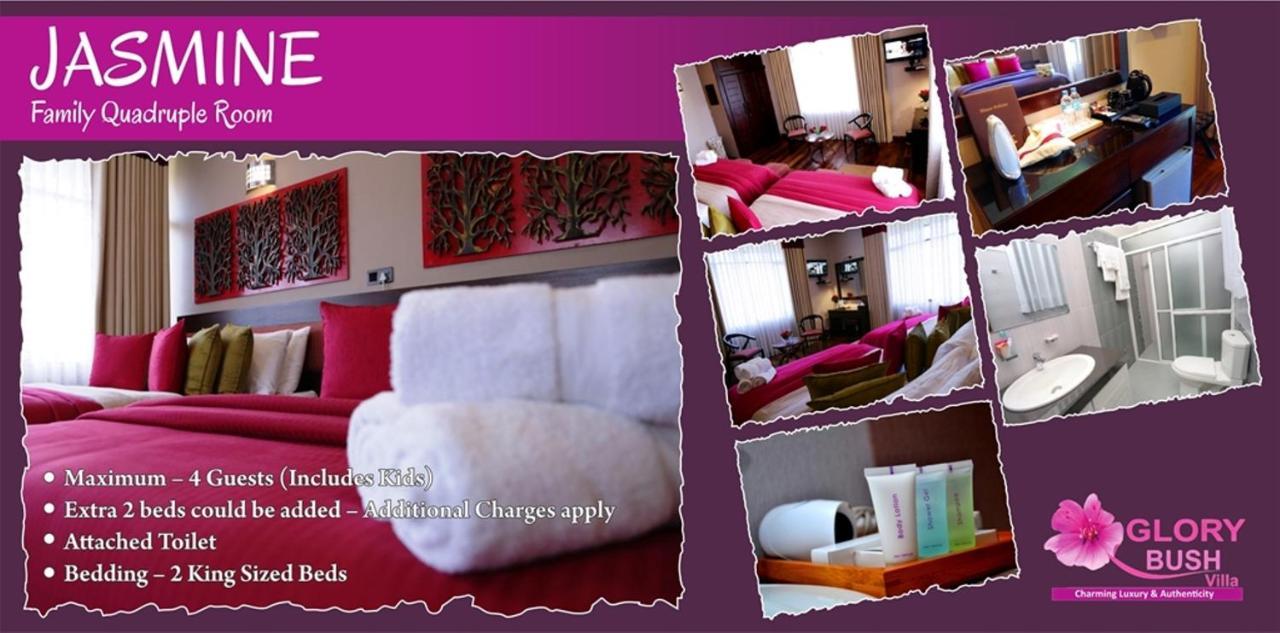 Glory Bush Boutique Villa Nuwara Eliya Bagian luar foto