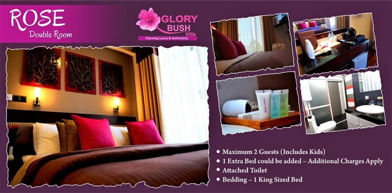 Glory Bush Boutique Villa Nuwara Eliya Bagian luar foto